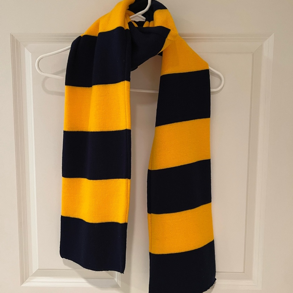 Blue and Gold Striped Knit Scarf